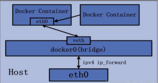 Container